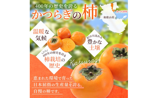 柿 種無し 赤秀品 超大玉 約1.8kg 5～6個 【先行予約】【2025年9月下旬から10月下旬頃発送】【kgr023】