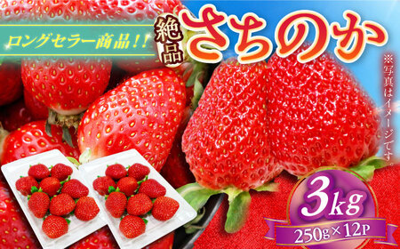 【2025年発送分 先行予約】【ビタミンC豊富な濃厚いちご】さちのか 3kg（250g×12パック） / 苺 イチゴ いちご フルーツ 果物 / 佐賀県 / さかもとさんの畑[41ABAA010]