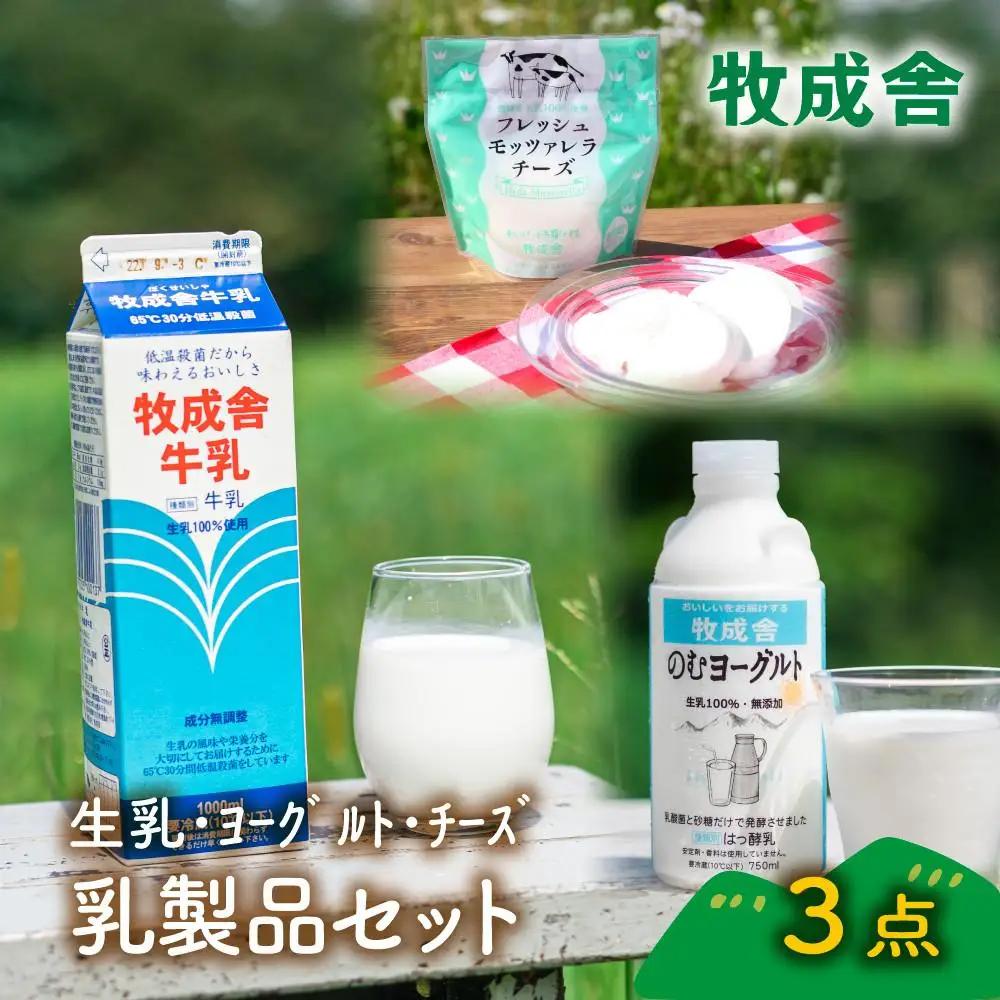 ＜牧成舎＞飛騨の牛乳屋さんが作った こだわりの乳製品お試しセット（牛乳1L×1本・のむヨーグルト750ml×1本・モッツァレラチーズ100g×1個）| 低温殺菌 無添加 牛乳 ヨーグルト チーズ 乳製品 おいしい セット 飛騨高山 (有)牧成舎 DF042