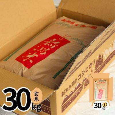 ふるさと納税 十日町市 【令和7年産】魚沼産新之助(玄米)30kg |  | 01