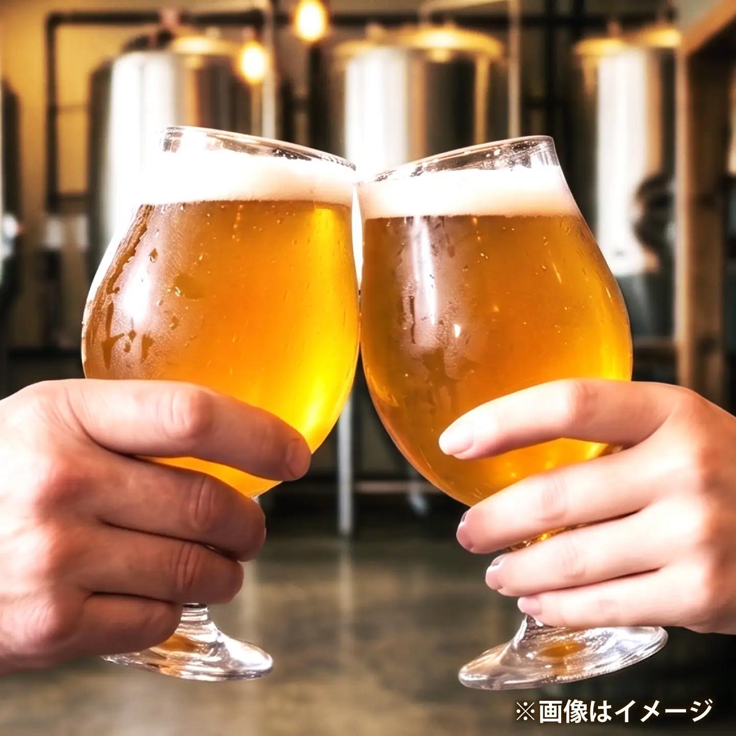 クラフトビール レモングラスビール 330mL×3本 LEMONGRASSBEER ビール お酒 クラフトビール 地ビール 瓶ビール /DwarfBrewery[UFD001]
