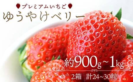 プレミアムいちご ゆうやけベリー 約900g～1kg（24～30粒） イチゴ  ゆうやけベリー 苺 フルーツ 果物 伊達市  F20C-982