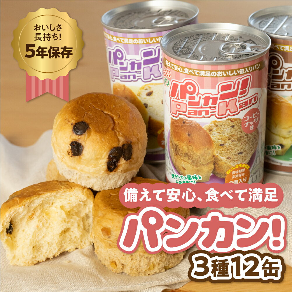 【ふるさと納税】『パンカン！』 備蓄食 缶入り パン 5年保存 3種12缶セット たっぷり 備蓄 長期保存 調理不要 災害 セット 非常食 常温 缶詰 チョコパン レーズンパン コーヒーパン 防災 おやつ チョコ レーズン コーヒー 防災グッズ 簡単