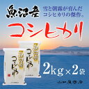 【ふるさと納税】「厳選☆十日町育ち」魚沼産コシヒカリ　2kg×2袋　 お米 米 コメ コシヒカリ 魚沼産 　お届け：順次発送