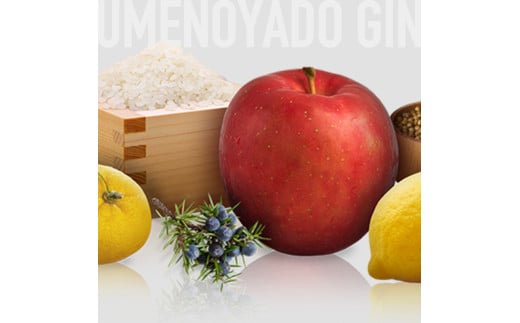 UMENOYADO GIN 750ml ／ 梅乃宿酒造 44度 ジン クラフトジン ジャパニーズジン お酒 スピリッツ 国産 ギフト お祝い プレゼント 奈良県 葛城市_イメージ5