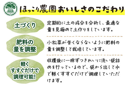 山形県白鷹町産【訳あり】とれたて小松菜（5kg）個数限定 国産 旬 野菜 やさい こまつな