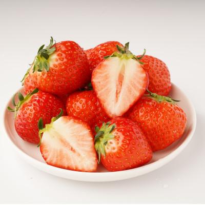 ふるさと納税 三豊市 【発送月固定定期便】三豊市特選こだわりフルーツ全9回