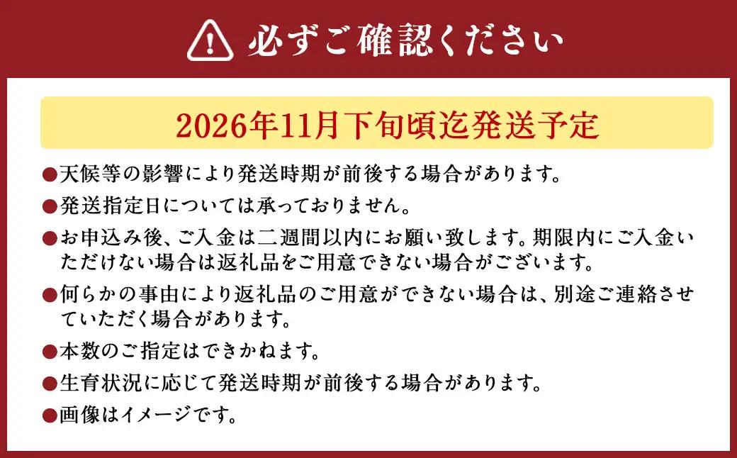 バラの花束 混合（20‐30本）| 花 バラ 薔薇 生花 ローズ 花束 ブーケ 贈り物 プレゼント ギフト【2026年11月下旬頃迄発送予定】
