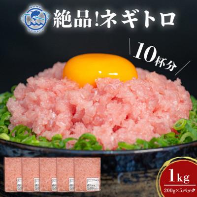 ふるさと納税 糸満市 那覇魚類のネギトロ 合計1kg(200g×5パック)　小分けパック