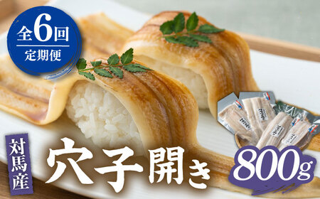 【全6回定期便】対馬 穴子 開き 800g [WAD045] アナゴ あなご 天ぷら 穴子重 開き 