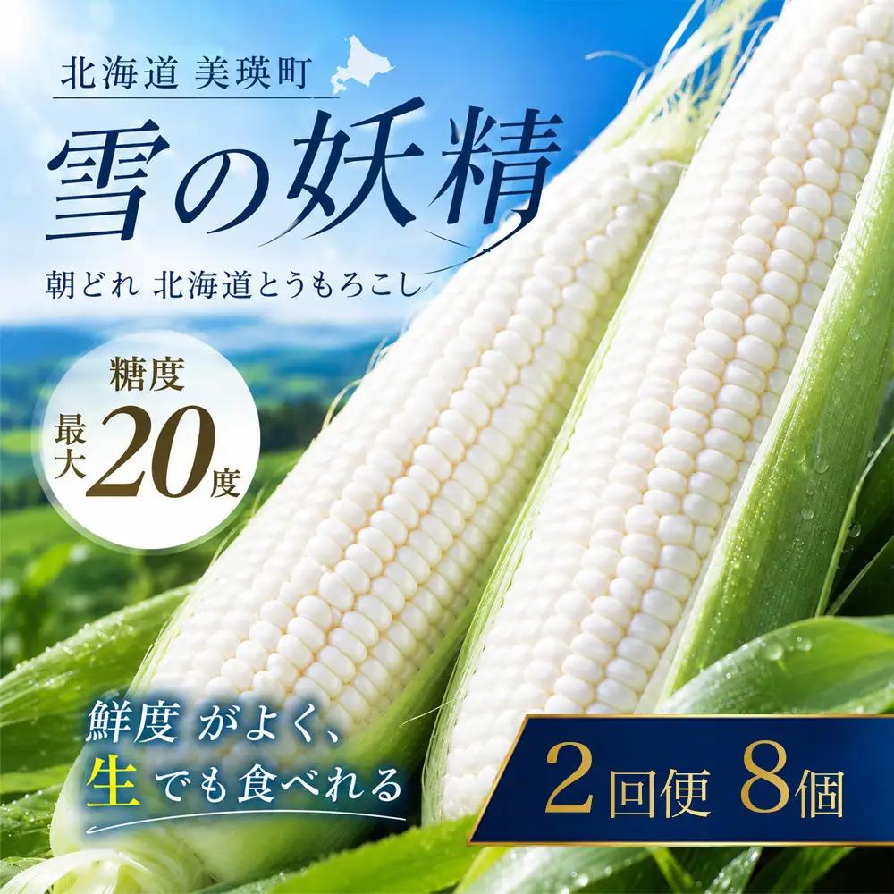 【先行予約】とうもろこし 雪の妖精 8本 2回 定期便 とうもろこし