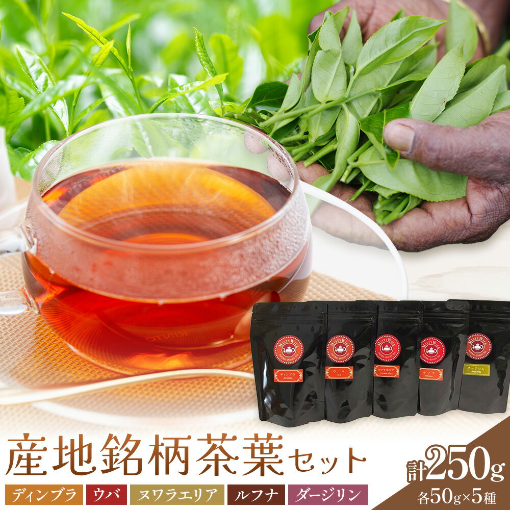 【ふるさと納税】産地銘柄茶葉セット ディンブラ ウバ ヌワラエリア ルフナ ダージリン 各50g セイロン紅茶専門店 MISTYWICK有限会社《30日以内に出荷予定(土日祝除く)》千葉県 我孫子市 紅茶 茶葉 厳選 ギフト 贈り物