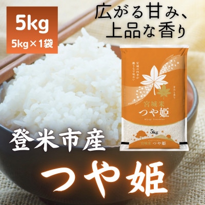 【毎月定期便】宮城県登米市産 つや姫(精米) 5kg全2回【4085919】