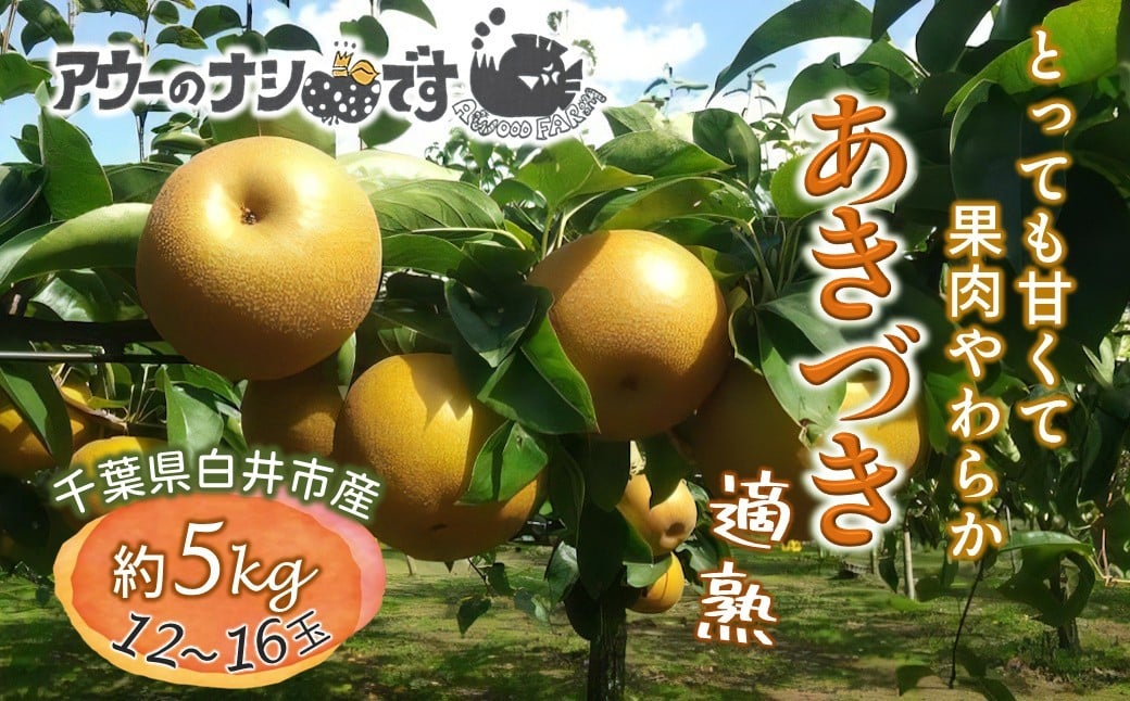 
            【2026年秋収穫分】 梨 あきづき 約5kg 12～16玉 農家直送 千葉県白井市 先行予約受付 アウーファーム
          
