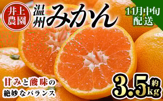 ＜先行予約受付中！11月中旬より順次発送予定＞数量限定 大分県宇佐市産 温州みかん(約3.5kg)みかん ミカン 蜜柑 柑橘 フルーツ 果物 くだもの 果実 国産【103670200】【井上農園】