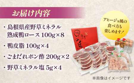 テレビ番組で紹介されました！島根県産野草ミネラル熟成鴨の焼肉セット（6～8人前）【美味しい食べ方レシピ付き】鴨鍋 鴨肉 焼肉 しゃぶしゃぶ 島根県雲南市/鴨専門店カナール[AIDC005]