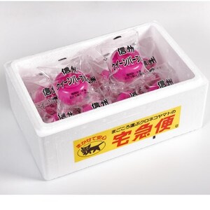 信州クイーンパープル玉10個セット【配送不可地域：離島】【1643899】