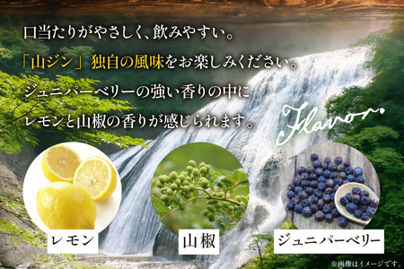 ジン 700ml 1本｜スピリッツ クラフトジン  JIN ソーダ割り GIN