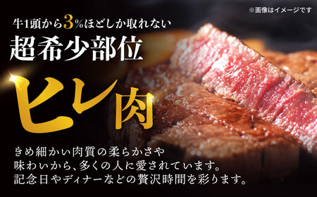 【6回定期便】極上 ヒレ ステーキ 300g（150g×2枚） / ヒレステーキ 長崎和牛 A4〜A5ランク 希少部位 / 諫早市 / 野中精肉店[AHCW048]