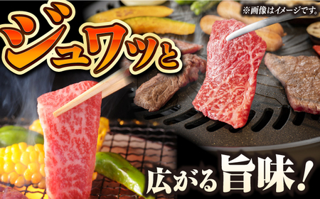 【3回定期便】【自家製ダレ付】 長崎和牛 モモ切り落とし 毎月200g （A4またはA5ランク） 長与町/炭火焼肉あおい[EBW036]