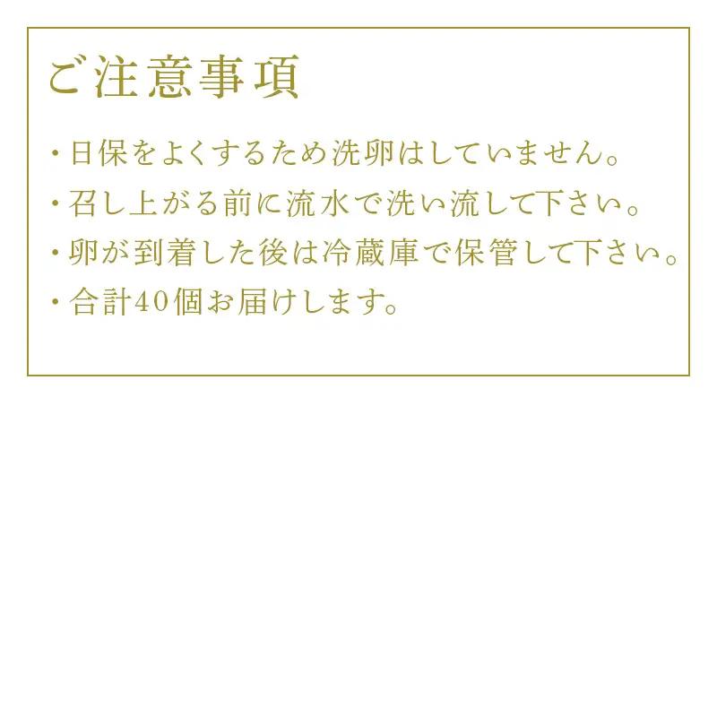 放し飼い！七山たまご 20個箱×2(合計40個) (Ｍ~Ｌサイズ相当) 玉子 生卵 鶏卵 佐賀県唐津産