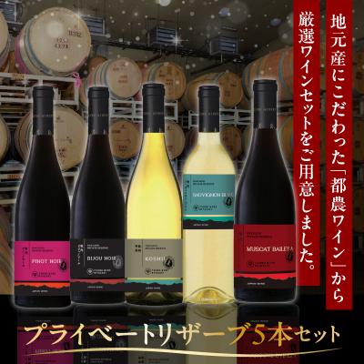 ふるさと納税 都農町 【期間・数量限定】プライベートリザーブ5本セット 酒 飲料 アルコール 国産_T014-037 |  | 01