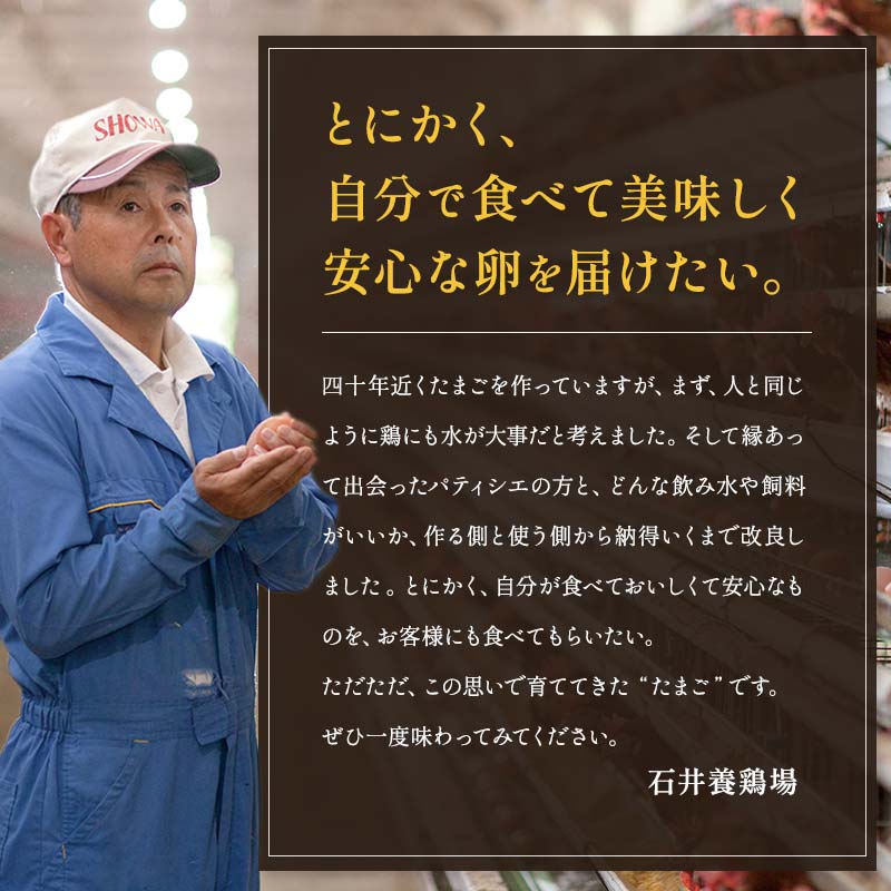 碧空たまご 160個入り Lサイズ タマゴ 卵 玉子 たまご  ゆで卵 たまご焼き 目玉焼き 朝食 食品 F21R-022