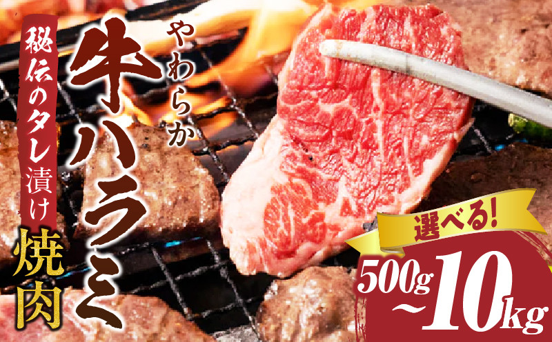 
            やわらか牛ハラミ焼肉　秘伝のタレ漬け500g~10kg| 牛肉 焼肉 タレ 漬け 秘伝 柔らかい 味付き やきにく ハラミ 希少 小分け 厚切り 冷凍 BBQ バーベキュー 香川県 三木町 国産 おすすめ |_mk146-024
          