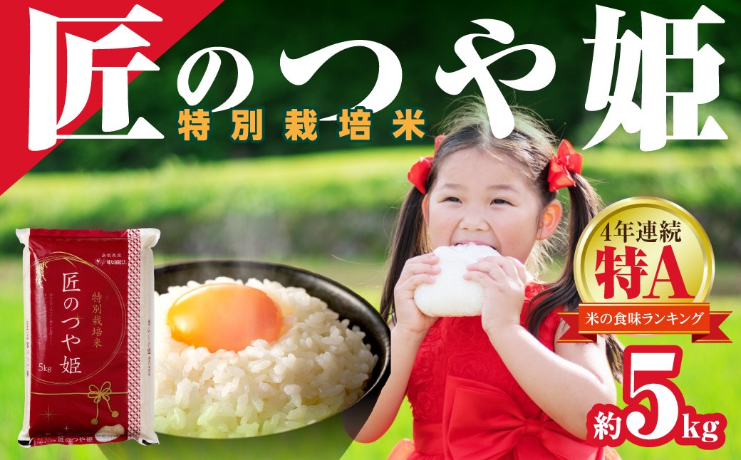 
                  【令和７年産】特別栽培米「匠のつや姫」5kg 米 お米 こめ 白米 精米 ごはん コメ つや姫 特別栽培米 【058_1859】
                