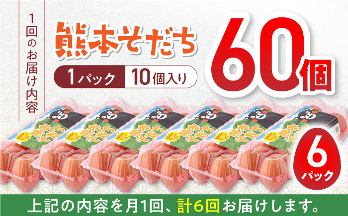 【全6回定期便】熊本県産 熊本そだち 60個入り ( 10個入り × 6パック ) 山都町 たまご 卵【蘇陽農場】 [YBE035]