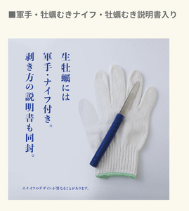 fn-42-003 ＜令和6年11月より発送！＞【海洋深層水仕込み】釜石湾・尾崎牡蠣 10個セット  日本かきセンター