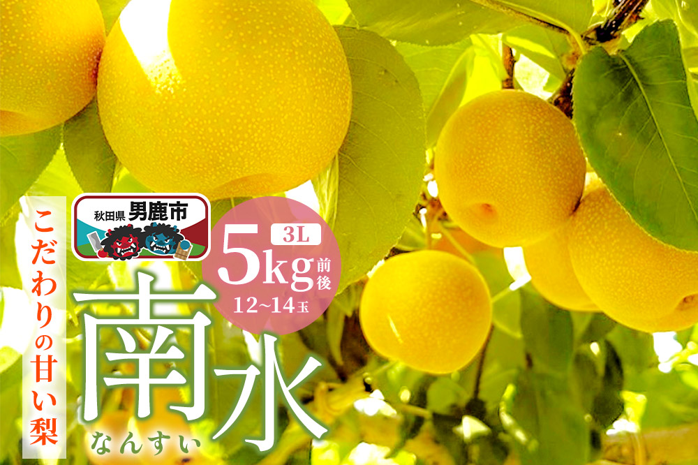 【先行受付】南水 梨 こだわりの甘い梨 5kg前後 3L 12〜14玉 産地直送 旬の果物 ギフト 秋田県 男鹿市