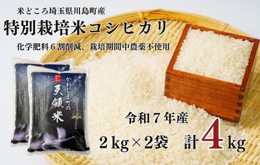 
                  【令和7年度産　特別栽培米】埼玉県かわじま町　天領米（コシヒカリ） 2kg×２袋
                