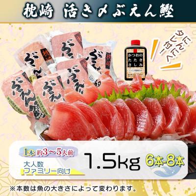 ふるさと納税 枕崎市 枕崎ぶえん鰹(活き〆血合抜き刺身)1.5kg A7-21 |  | 01