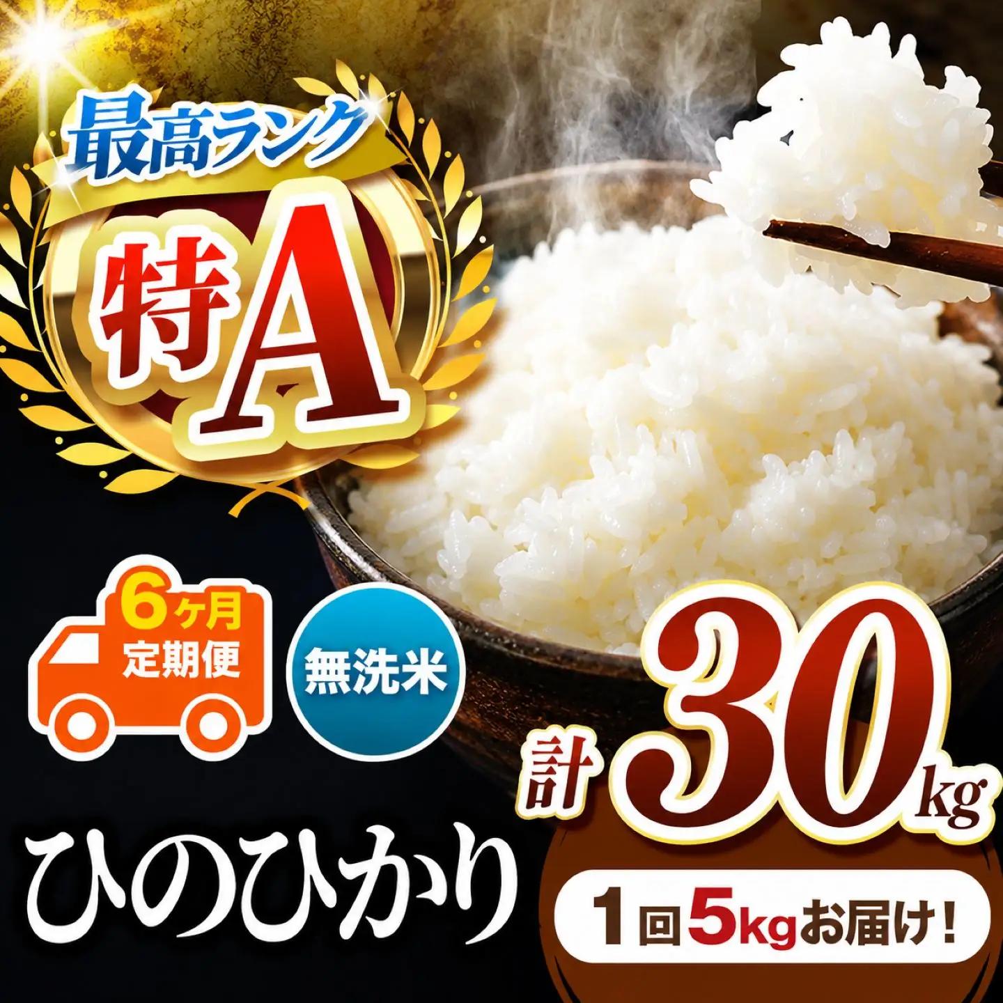 【 定期便 6回 】 R7年産 熊本県産 無洗米 ひのひかり 5kg