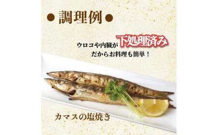 冷凍魚セット 2kg(4~8種) 下処理済み 冷凍鮮魚［1714］