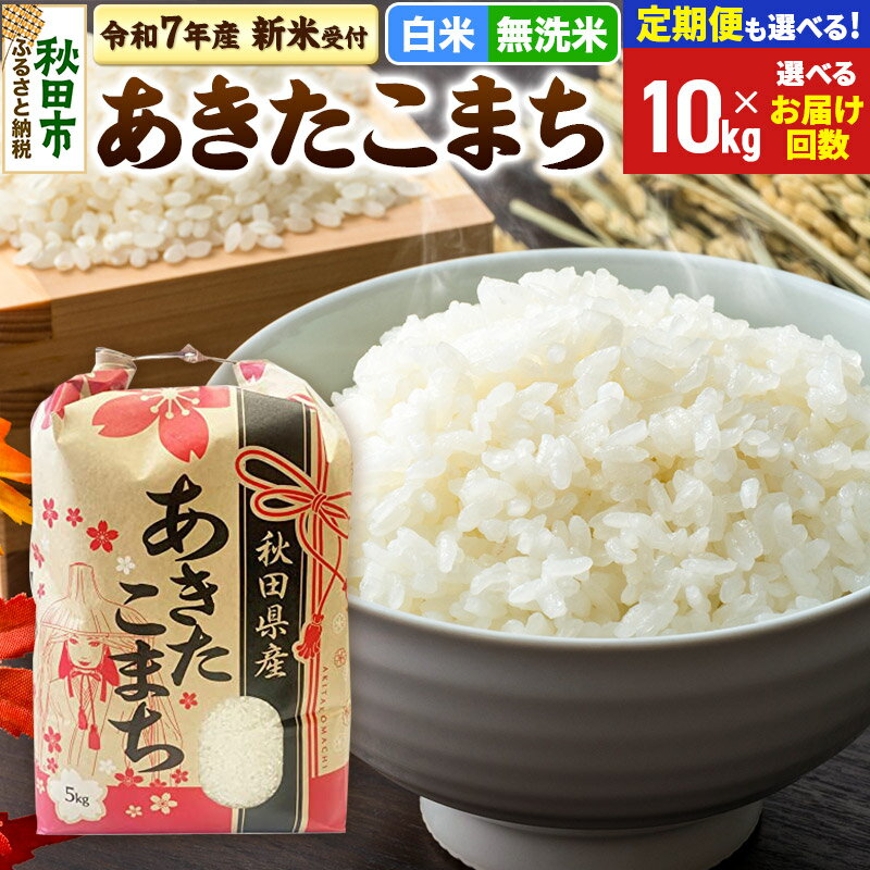 【ふるさと納税】《令和7年産 新米受付》あきたこまち 10kg (5kg×2袋) 【白米／無洗米】【選べるお届け回数(定期便)】秋田県産 こまちライン お米 新米