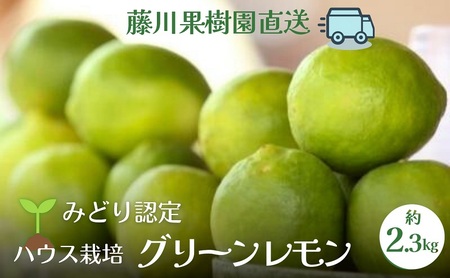 【2026年 先行予約】みどり認定 ハウス栽培グリーンレモン 約2.3kg 国産レモン 香川 果物類／柑橘類／みかん レモン　 