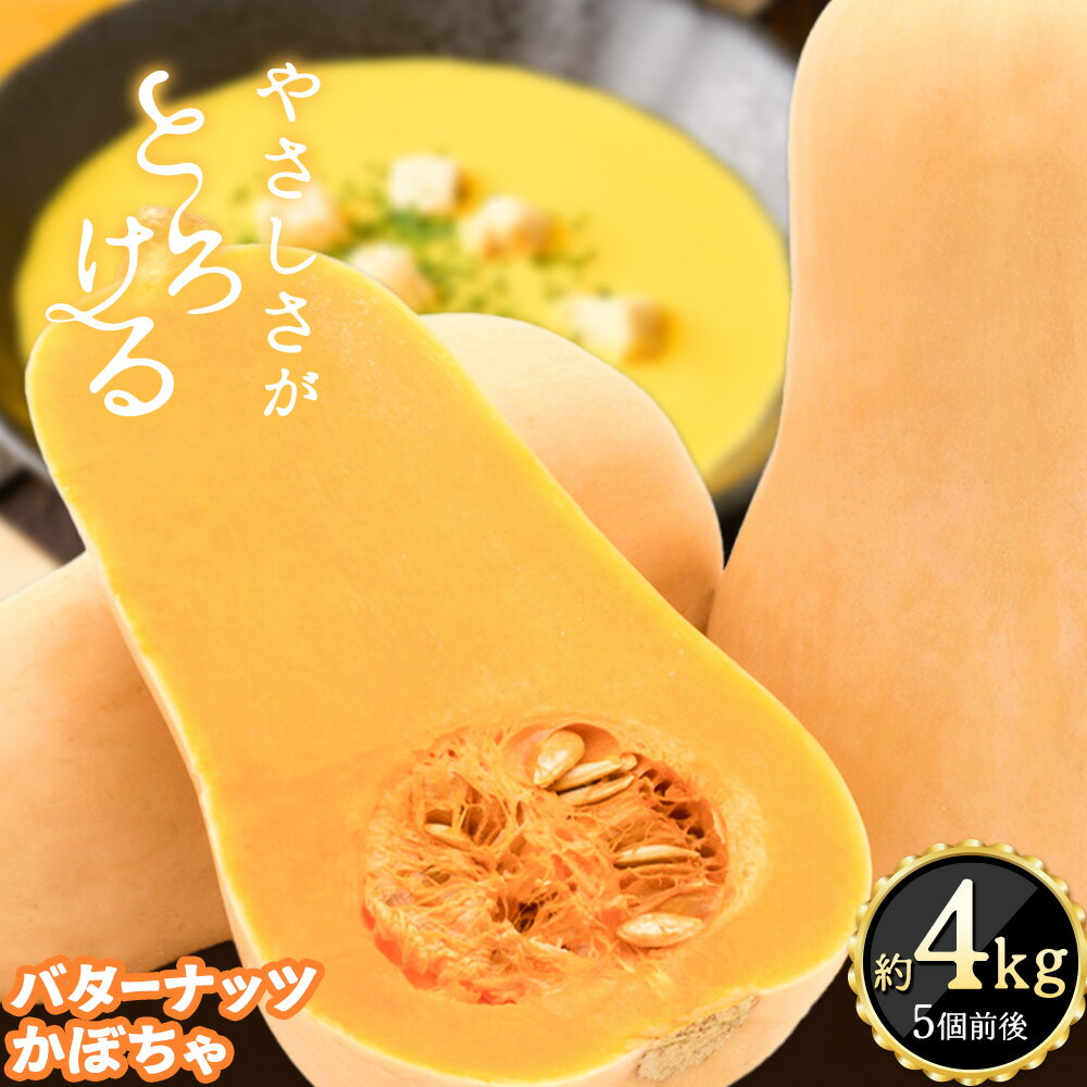 【ふるさと納税】【数量限定】かぼちゃ バターナッツ バターナッツかぼちゃ 約4kg (5個前後入り) 合同会社 中ちゃん農園《30日以内に出荷予定(土日祝除く) 》広島県 神石高原町 送料無料 野菜 カボチャ 南瓜 バター ナッツ お取り寄せ