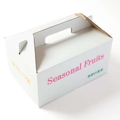 【2025年11月下旬以降配送予定】富有柿のドライフルーツ　5袋