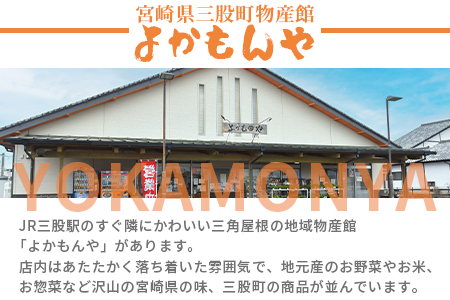 ＜先行予約 【期間数量限定】2024年5月発送 宮崎県産完熟マンゴー2L～3L2玉パック入り＞【MI232-yk】【みまたんよかもん協同組合】