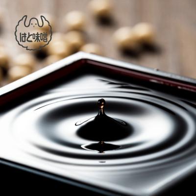 ふるさと納税 西尾市 【毎日の健康に】無添加　参年熟成の豆味噌(500g)・たまり醤油セット・H056 |  | 01