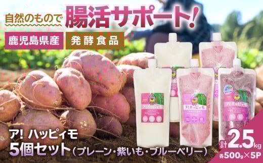 2825 ア！ハッピィモ5個セット（プレーン・紫いも・ブルーベリー）　KN113-001-05
