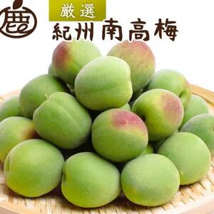 厳選 紀州南高梅(青梅)2kg+250g(傷み補償分)【梅干し・梅酒・梅ジュースに◎】【配送不可地域：離島・北海道・沖縄県】【1661964】