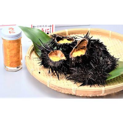 ふるさと納税 壱岐市 生うに2本セット |  | 01