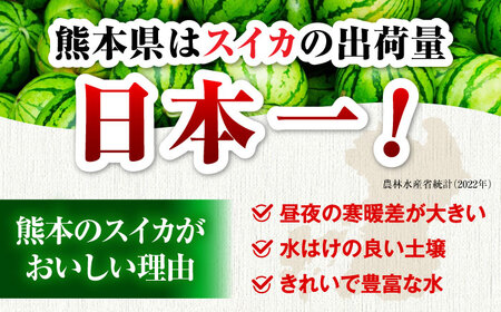 【先行予約】【数量限定】小玉すいか 1玉入（約3kg） 　【一般社団法人クラッシーノこうし】[AYAB023]