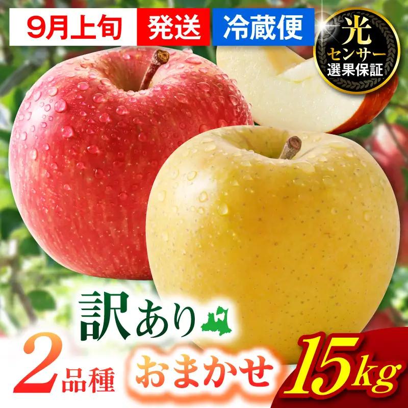 【2026年9月上旬発送】【訳あり】旬の美味しい りんご 約15kg 青森産 【おまかせ2品種】 りんご