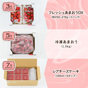 《先行予約受付中・数量限定》＜定期便・全3回(3月・5月・7月)＞2025年3月からお届け！あまおう贅沢セット No.2(あまおう：計約500g 冷凍いちご：1.5kg レアチーズケーキ：計600g)