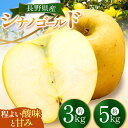 【ふるさと納税】シナノゴールド 約 3 kg or 約 5 kg ｜ シナノゴールド しなのごーるど りんご 林檎 リンゴ フルーツ 果物 スイーツ おやつ 特産品 千曲市 長野県 信濃