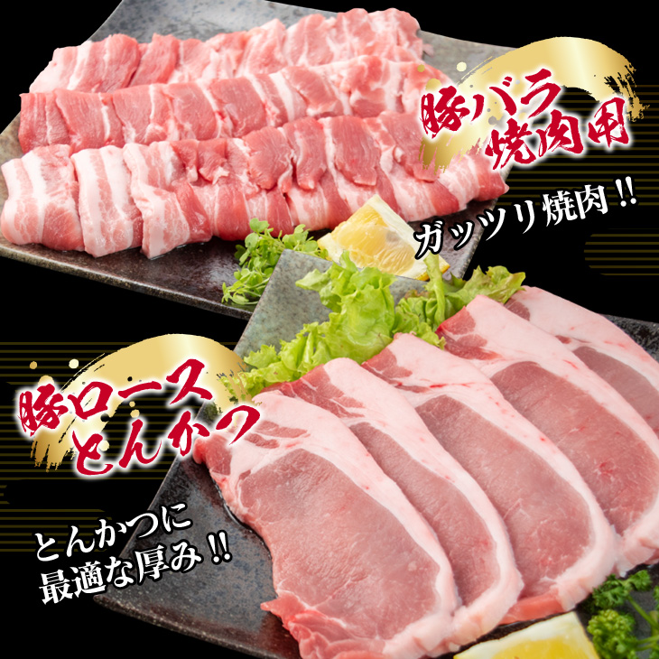 CD1-191_豚肉 鶏肉 食べ比べ セット 合計5kg 国産 食品 しゃぶしゃぶ 焼肉 BBQ とんかつ 切り落とし 豚ロース 豚バラ 鶏モモ 小分け 人気 おすすめ おかず 日南市 送料無料_イメ